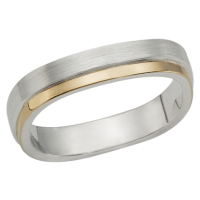 STERLING SILVER AND GOLD BAND