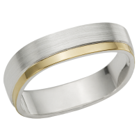 STERLING SILVER AND GOLD BAND