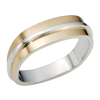 STERLING SILVER AND GOLD BAND