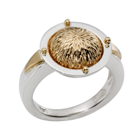 BAGUE ARGENT 925 ET OR